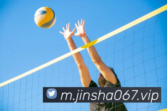 APP界面展示